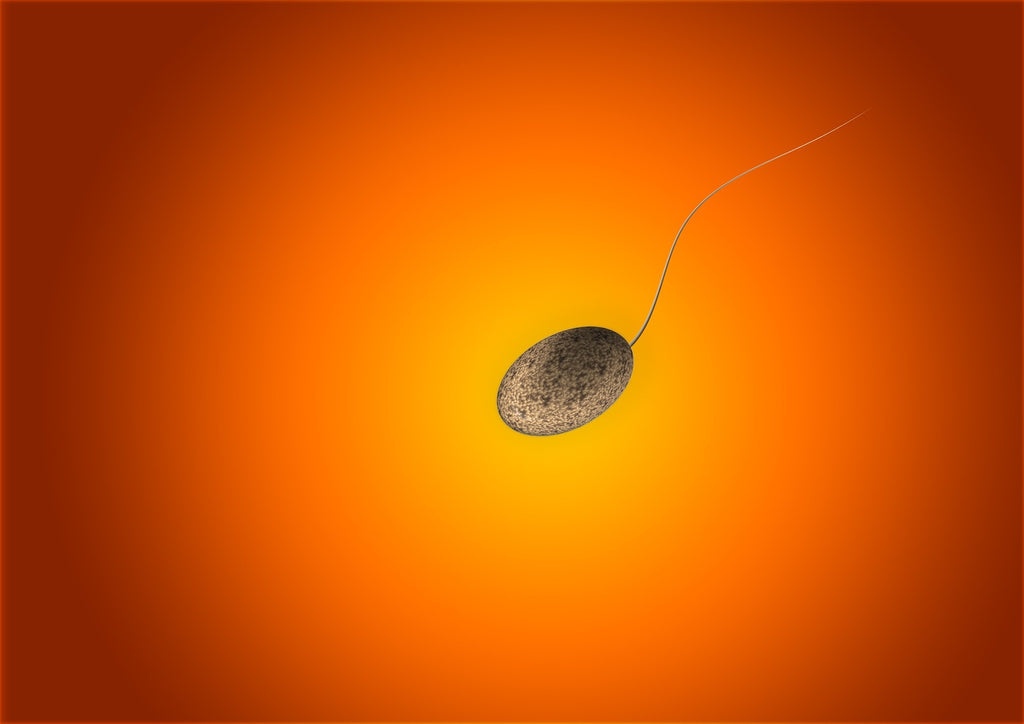 Cure Sperm in Men | Improving Male Sperm Quality